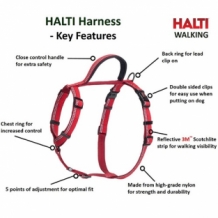 Halti Harness