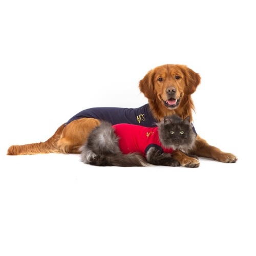 Bengelen Gevaar Caroline Medical Pet shirt