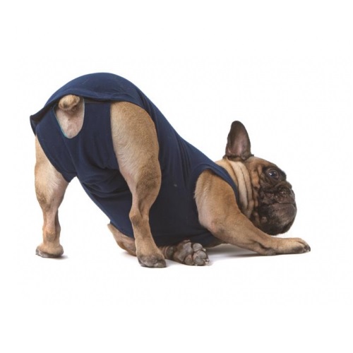 plug Verkleuren Elastisch Medical Pet shirt