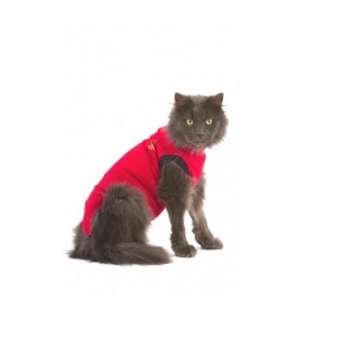 Medical Pet Shirt