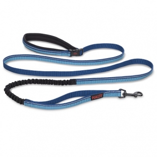 Halti Walking Riem