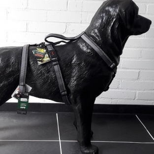 Halti Walking Harness