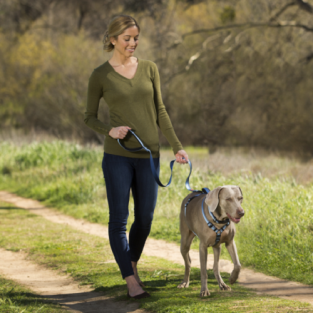 Halti Walking Harness