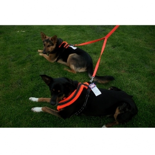 Reflecterende riem, 2 meter