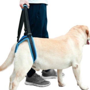 Dog Support Harness