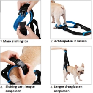 Dog Support Harness