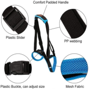 Dog Support Harness