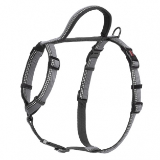 Halti Walking Harness