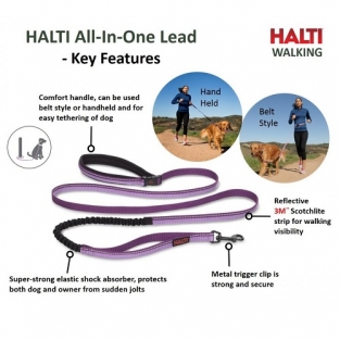 Halti Walking Riem